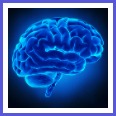 Neuromarketing